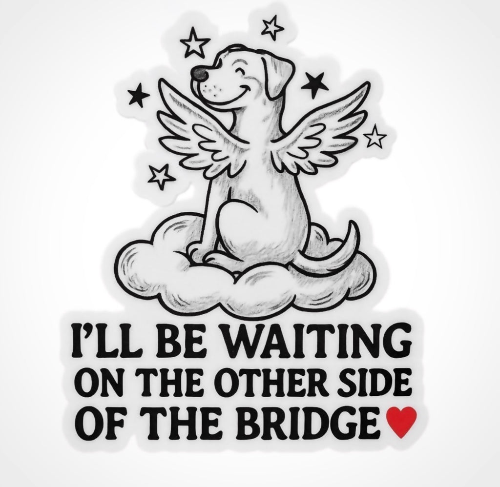 On the Other Side of the Bridge