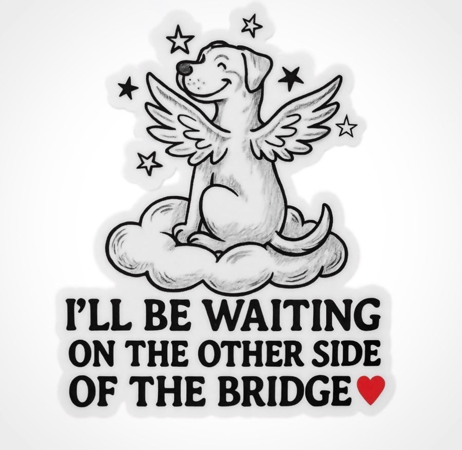 On the Other Side of the Bridge